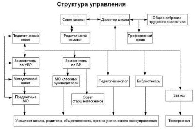 Структурные подразделения в школе отсутствуют.